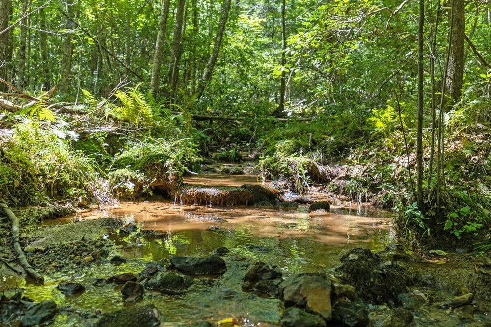 Lot 1 Natures Way Blue Ridge, GA 30513