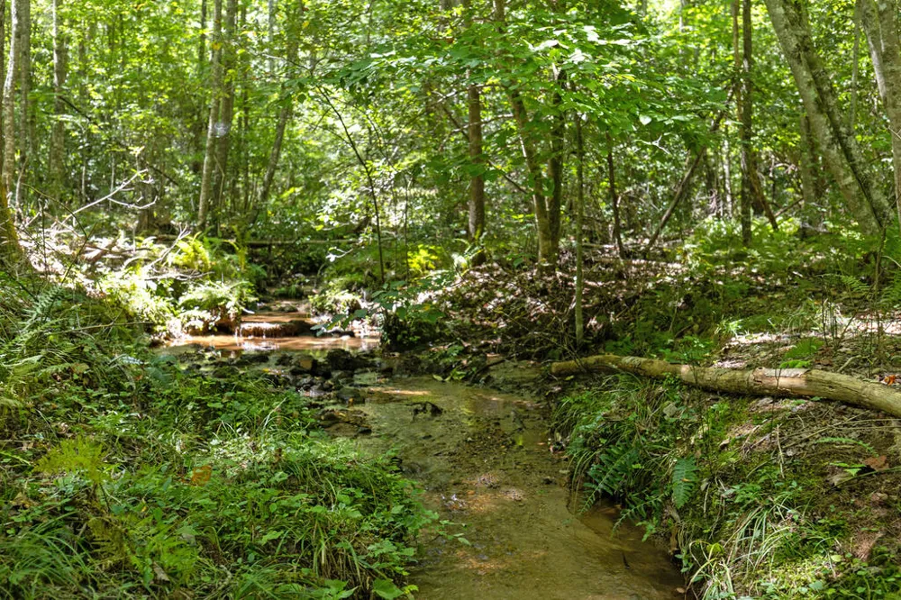 Lot 1 Natures Way Blue Ridge, GA 30513