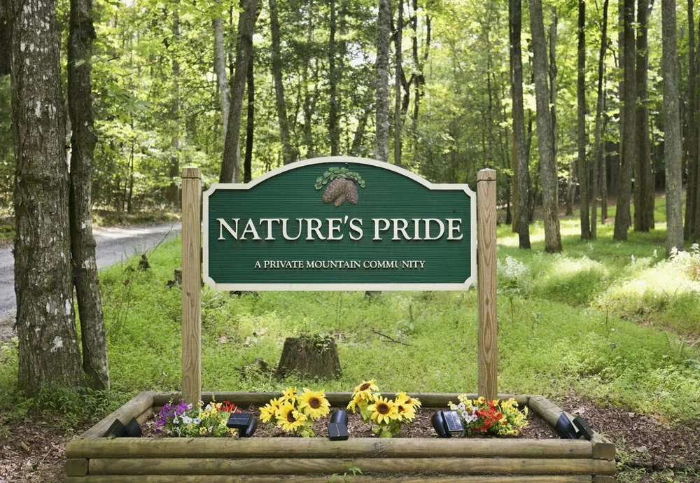 Lot 1 Natures Way Blue Ridge, GA 30513