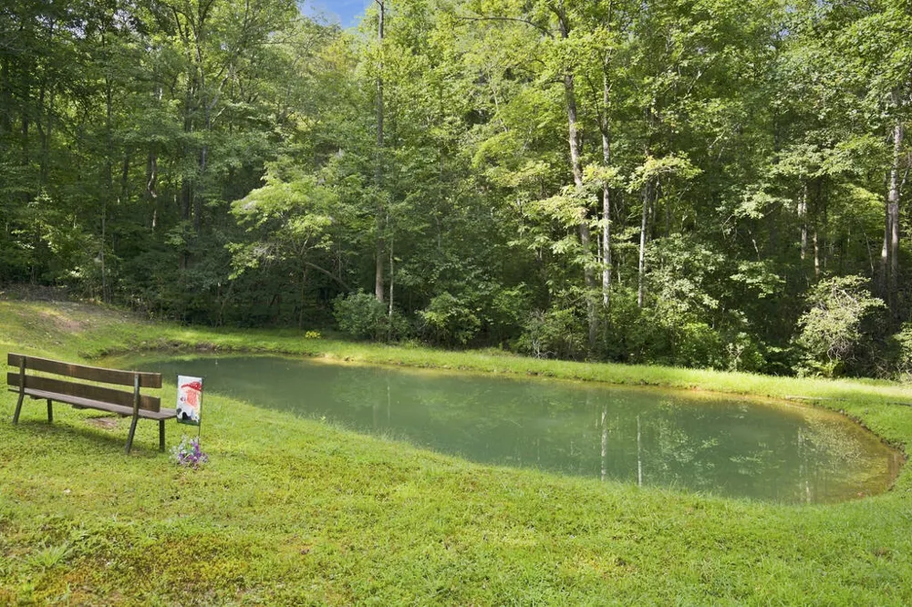 Lot 1 Natures Way Blue Ridge, GA 30513