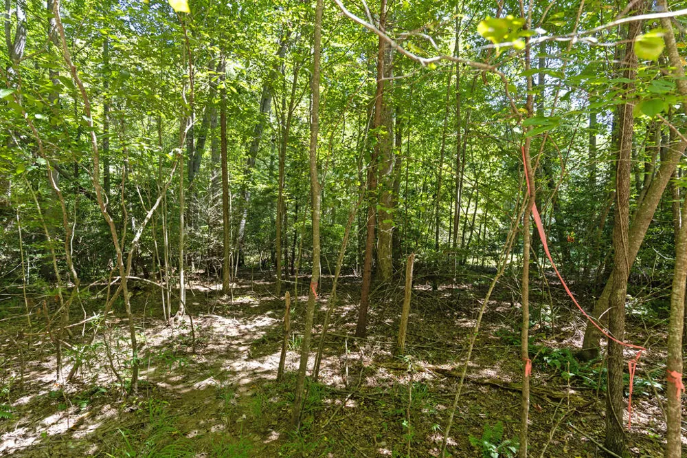 Lot 1 Natures Way Blue Ridge, GA 30513