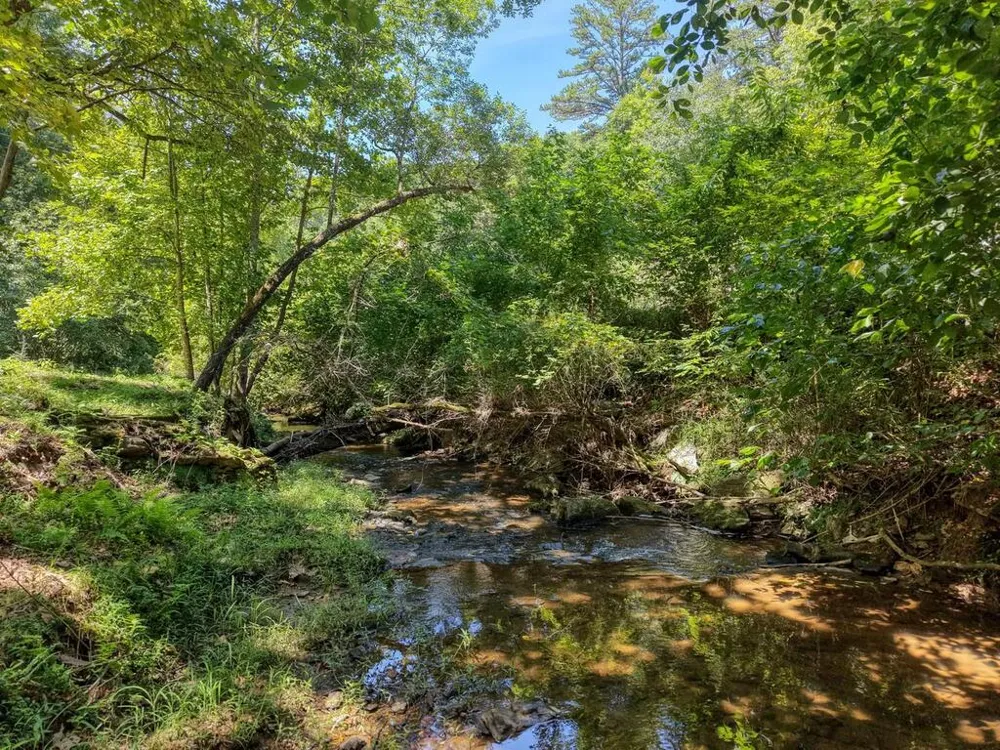 6564 Crooked Creek Road Young Harris, GA 30582