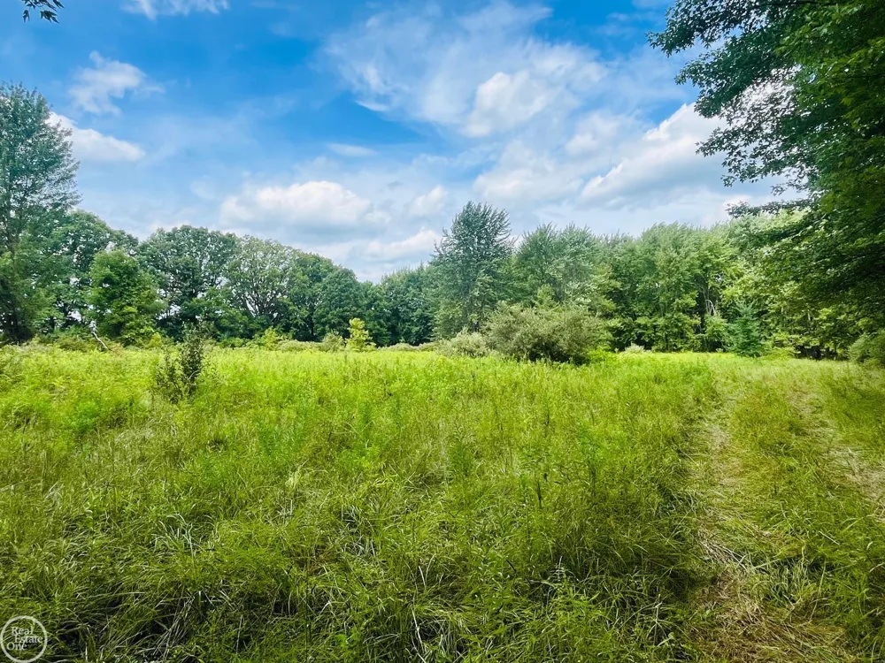9250 Rynn Road Kenockee Township, MI 48006