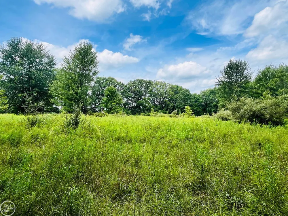 9250 Rynn Road Kenockee Township, MI 48006