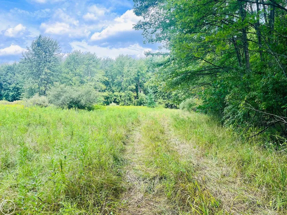 9250 Rynn Road Kenockee Township, MI 48006