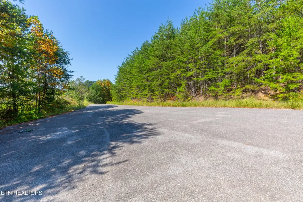 742 White Dogwood Drive Newport, TN 37821