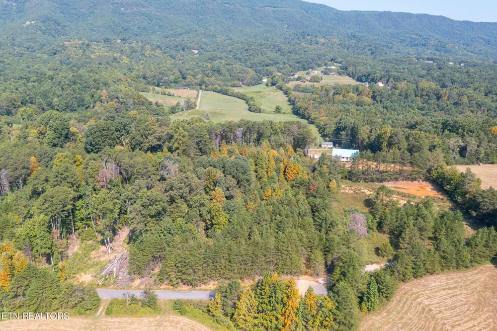 742 White Dogwood Drive Newport, TN 37821