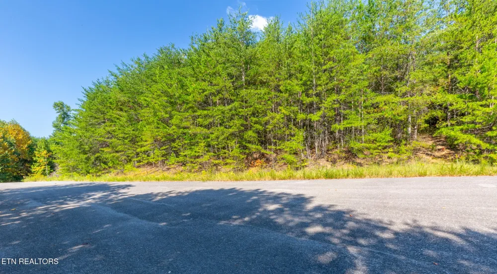 742 White Dogwood Drive Newport, TN 37821