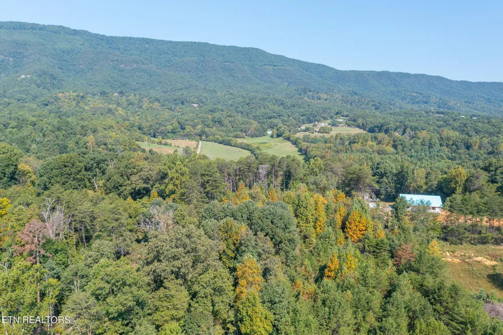 742 White Dogwood Drive Newport, TN 37821