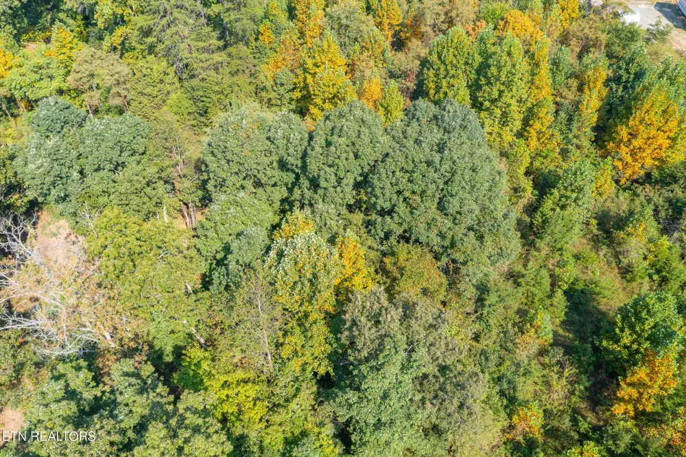 742 White Dogwood Drive Newport, TN 37821