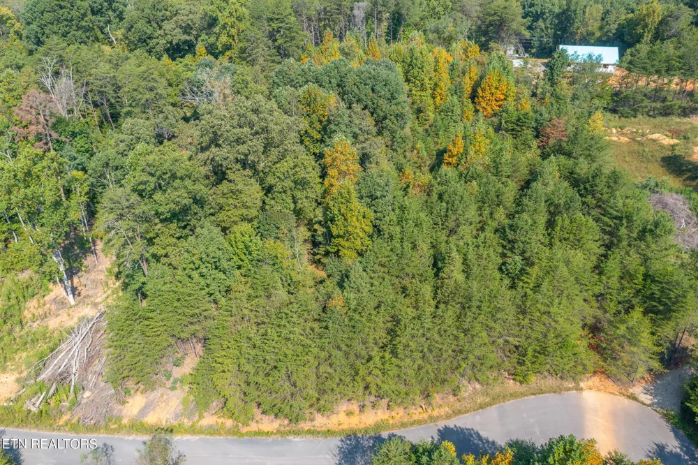 742 White Dogwood Drive Newport, TN 37821