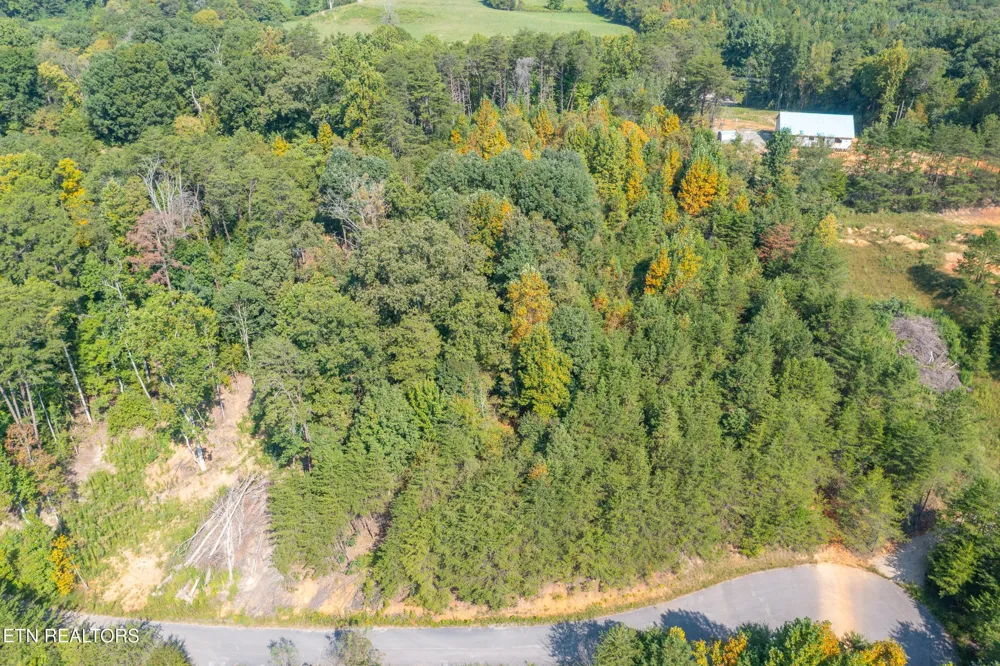 742 White Dogwood Drive Newport, TN 37821