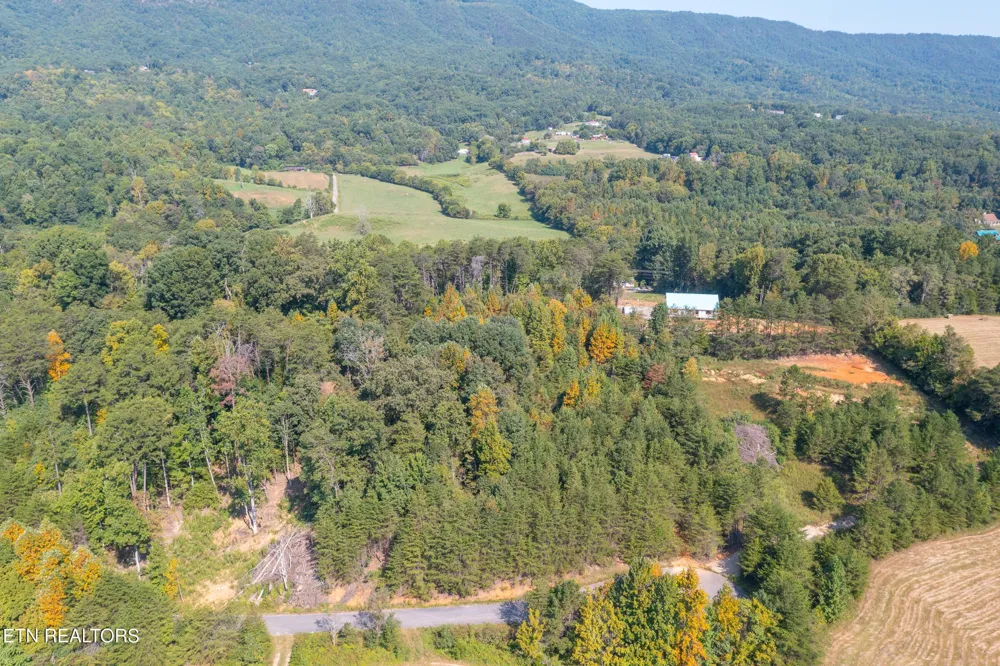 742 White Dogwood Drive Newport, TN 37821