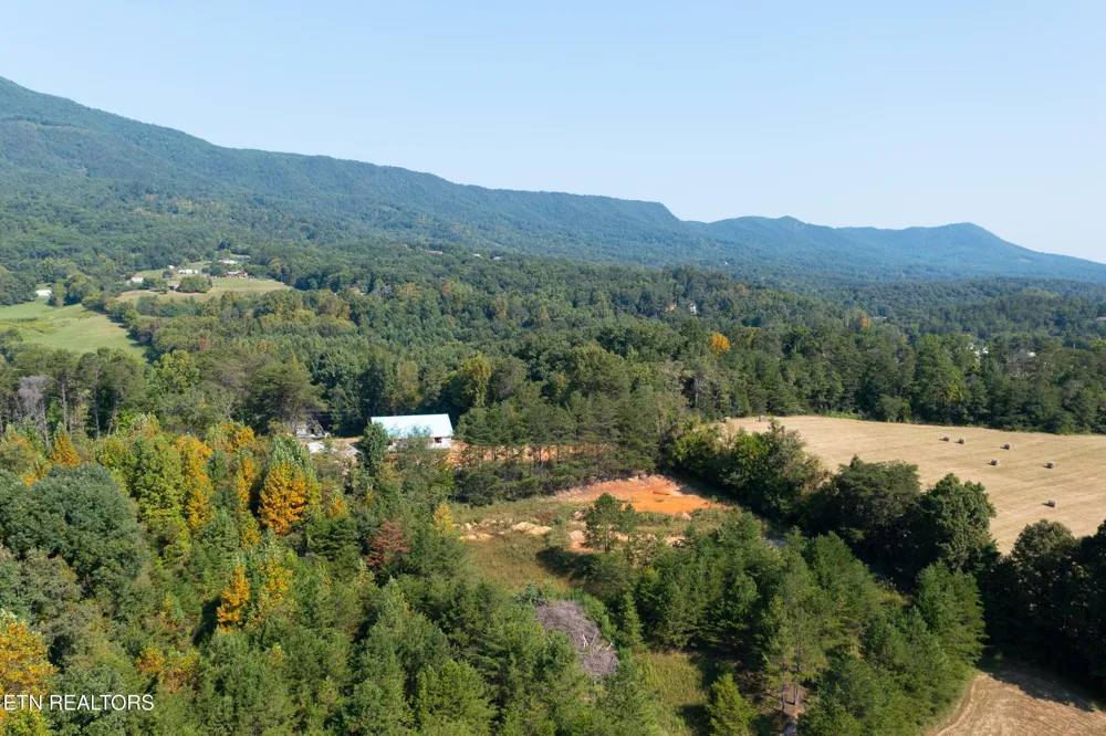 742 White Dogwood Drive Newport, TN 37821
