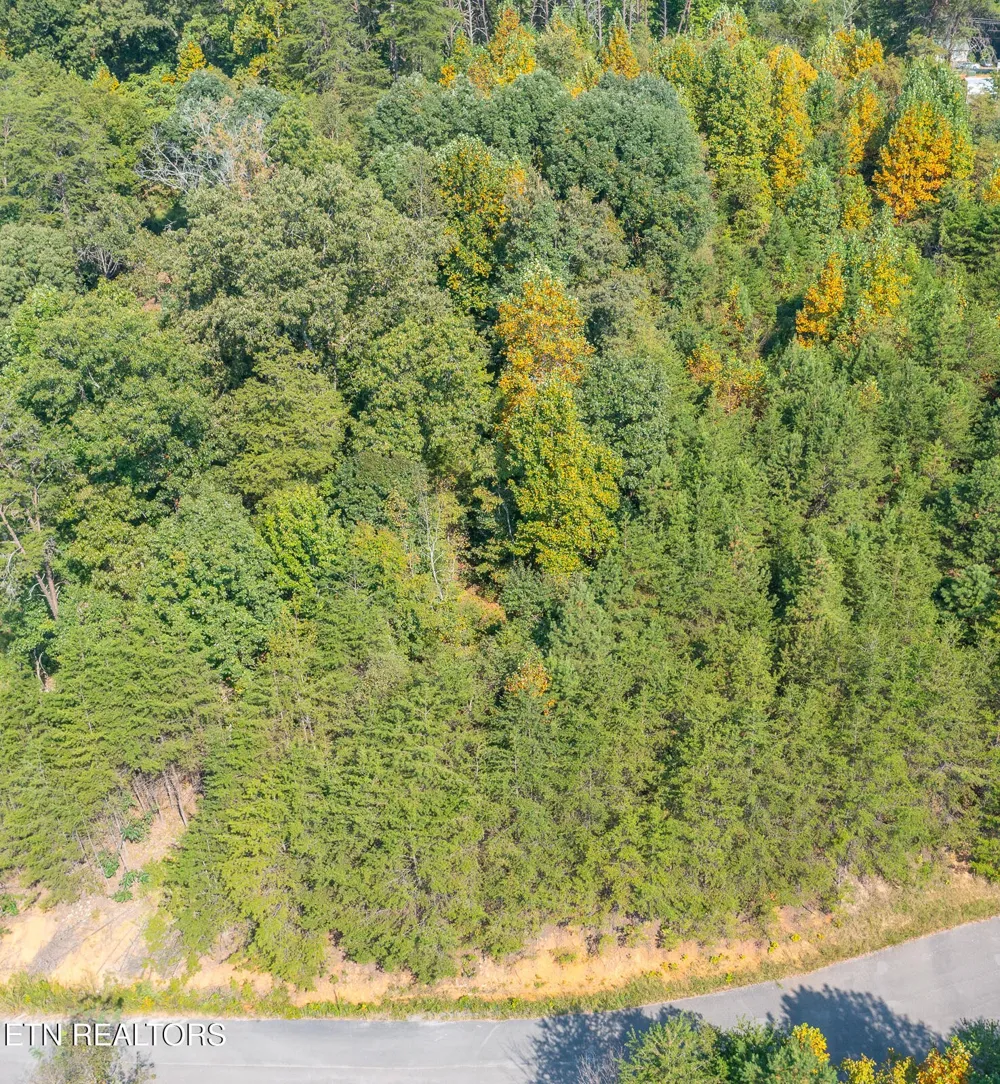 742 White Dogwood Drive Newport, TN 37821