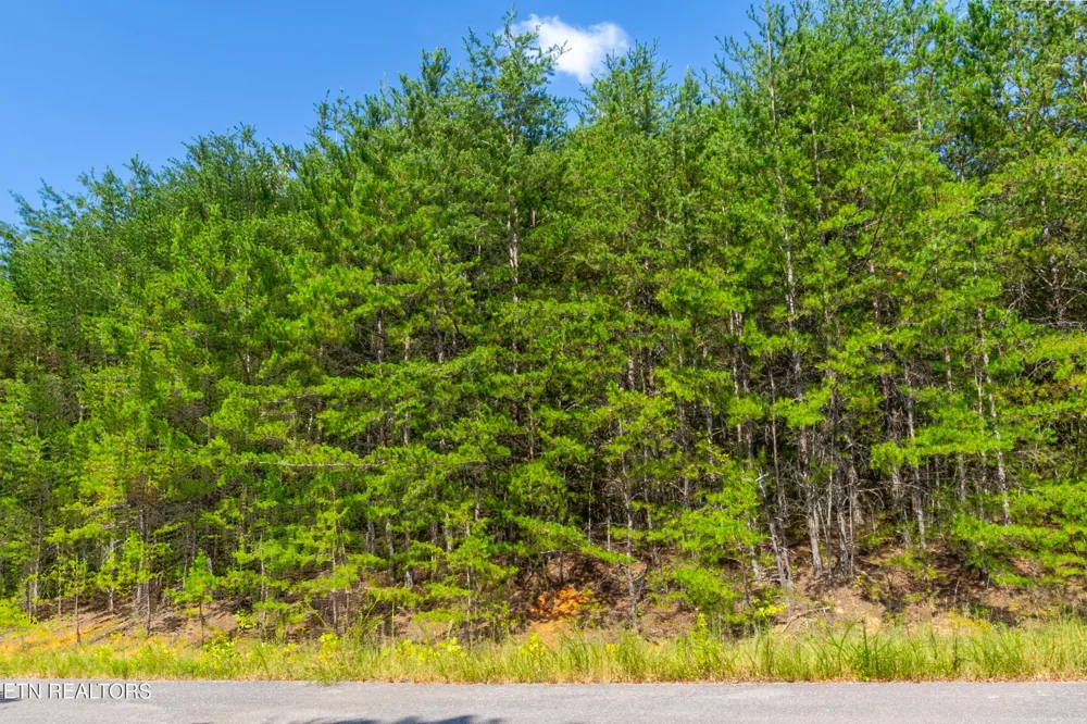 742 White Dogwood Drive Newport, TN 37821