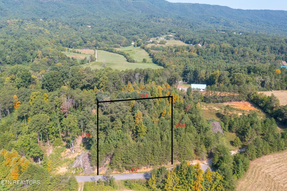 742 White Dogwood Drive Newport, TN 37821
