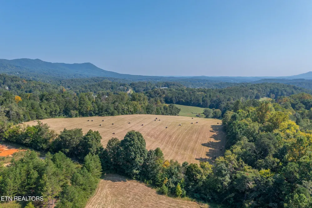 742 White Dogwood Drive Newport, TN 37821