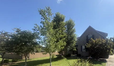 1310 Precept Dr