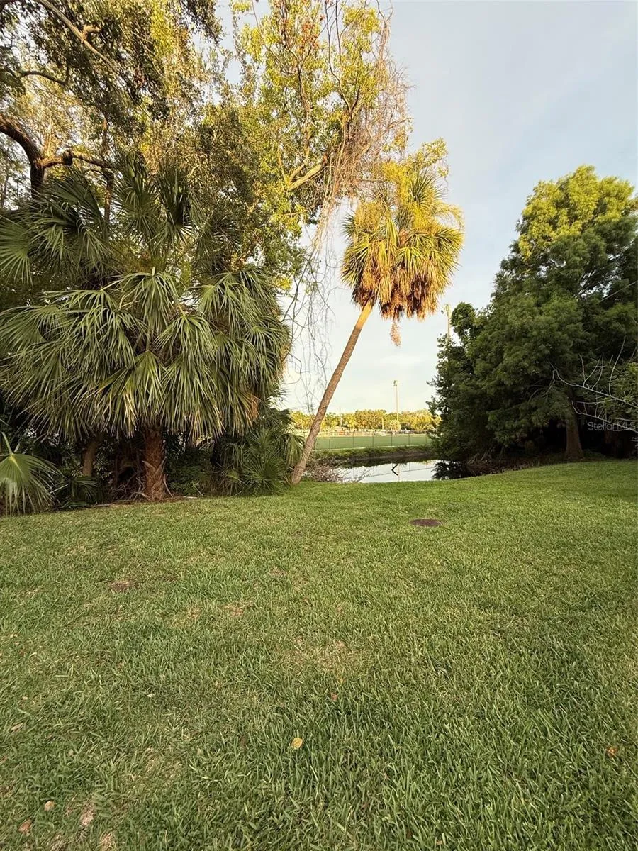 445 BAYOU VILLAGE DRIVE Tarpon Springs, FL 34689