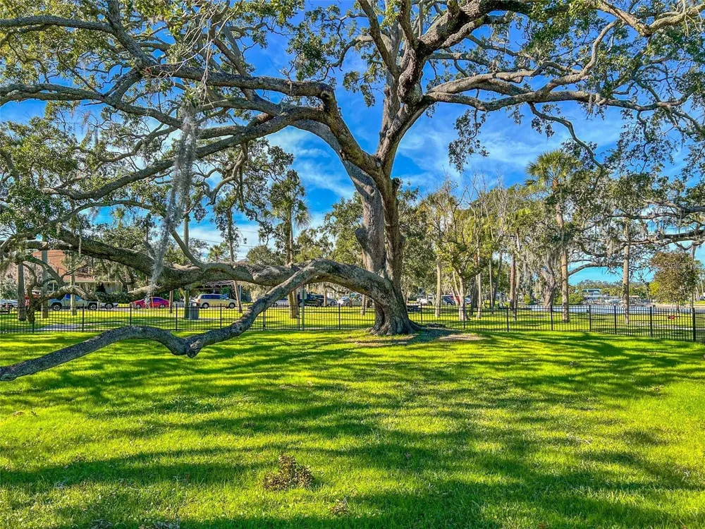 445 BAYOU VILLAGE DRIVE Tarpon Springs, FL 34689
