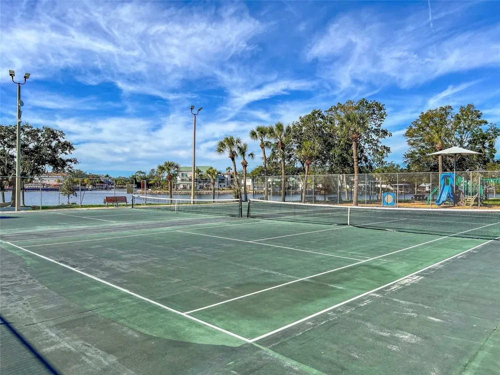 445 BAYOU VILLAGE DRIVE Tarpon Springs, FL 34689