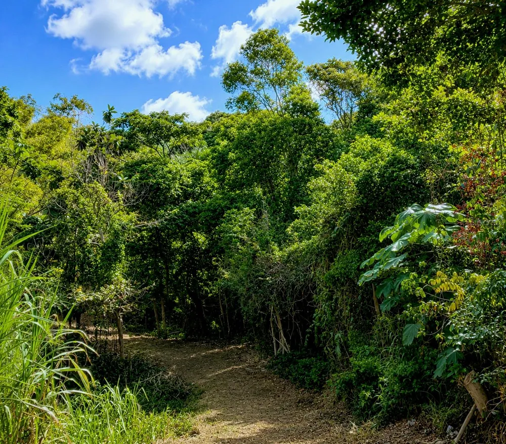 PR-982 KM 2.3 Fajardo, PR 00738