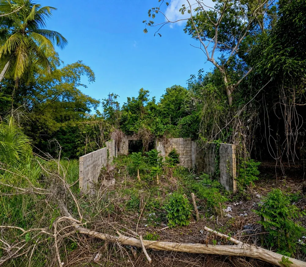 PR-982 KM 2.3 Fajardo, PR 00738
