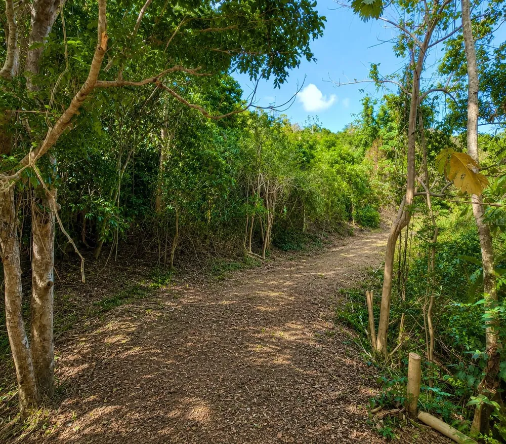PR-982 KM 2.3 Fajardo, PR 00738