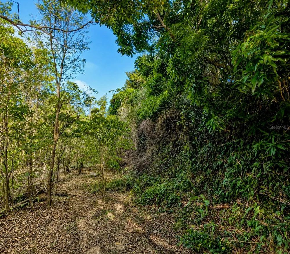 PR-982 KM 2.3 Fajardo, PR 00738