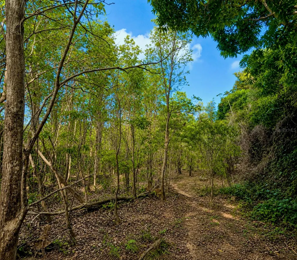 PR-982 KM 2.3 Fajardo, PR 00738