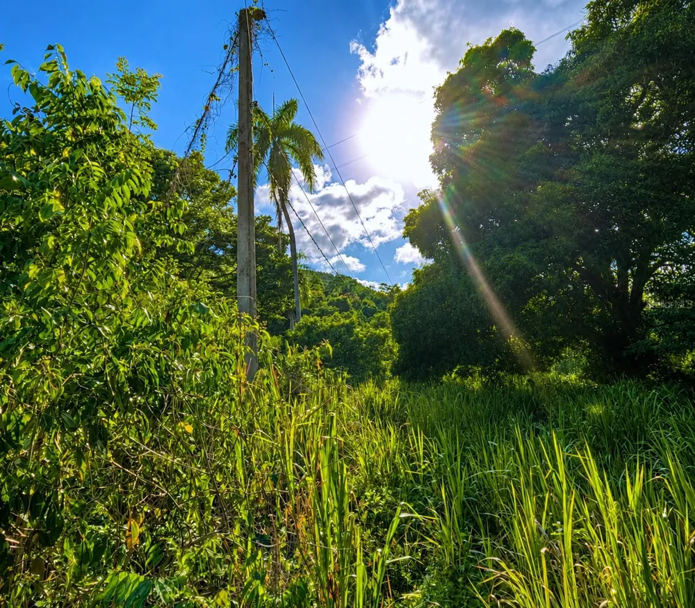 PR-982 KM 2.3 Fajardo, PR 00738