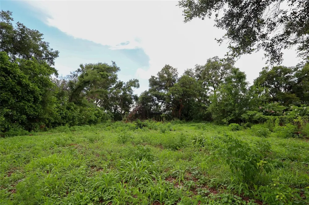 6427 A L CAMPBELL LANE Seffner, FL 33584