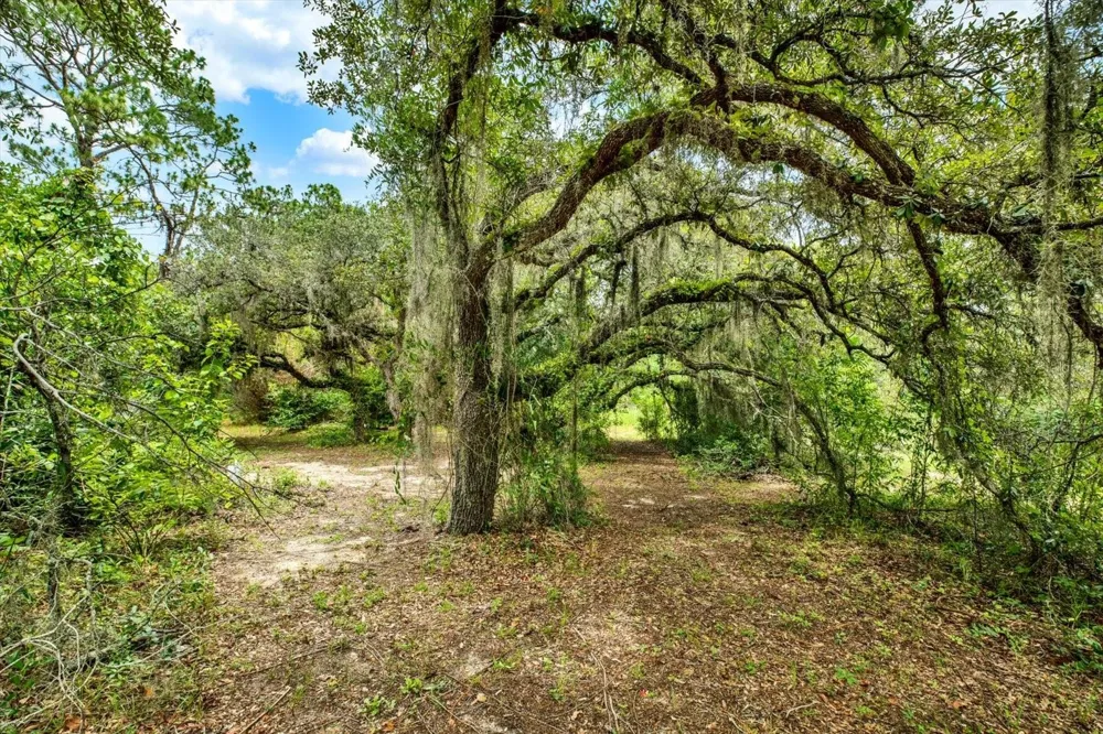 11251 SALINA STREET Brooksville, FL 34614