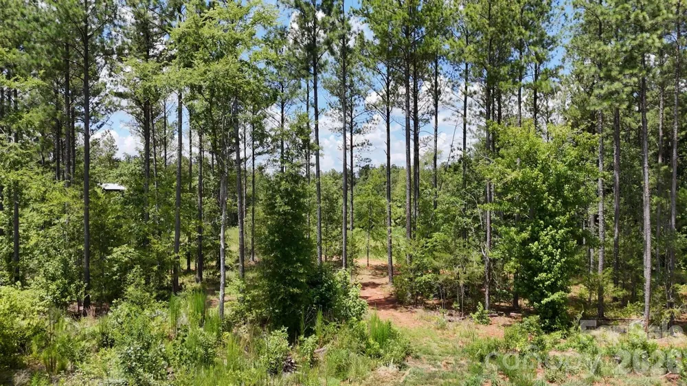 18+/- AC Lot 4 Parson Road McConnells, SC 29726