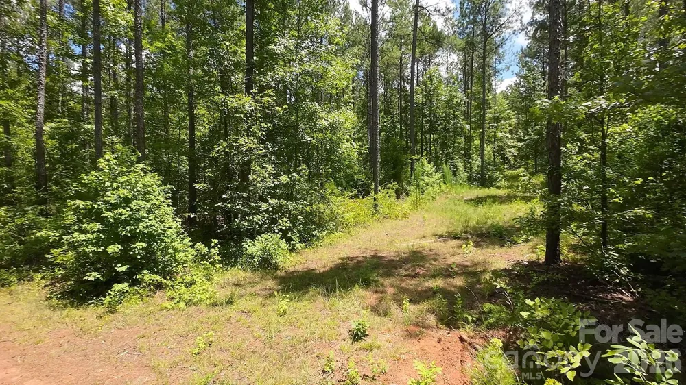 18+/- AC Lot 4 Parson Road McConnells, SC 29726