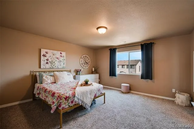 3641 Desert Willow Lane Colorado Springs, CO 80925