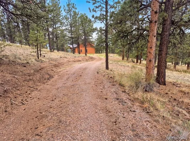113 Blackberry Court Westcliffe, CO 81252