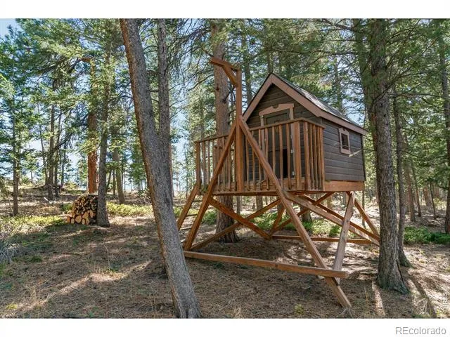 3725 Ridge Road Nederland, CO 80466