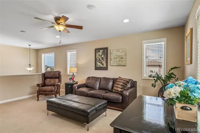18236 Shadbury Lane Parker, CO 80134