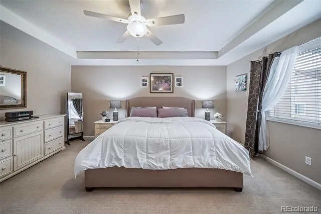 18236 Shadbury Lane Parker, CO 80134