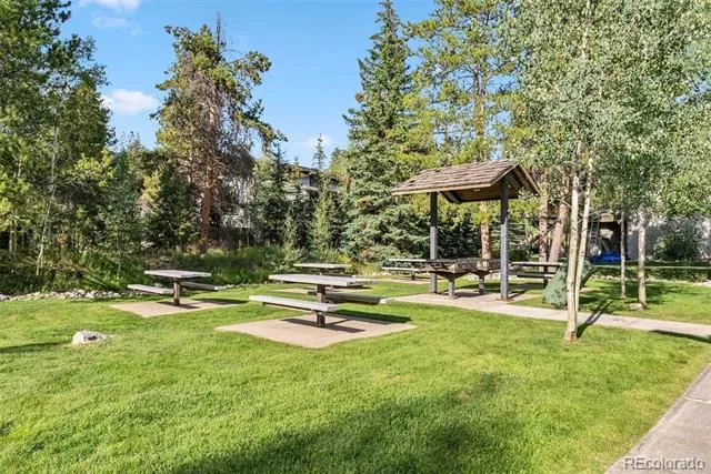 1937 Soda Ridge Road #1130 Dillon, CO 80435