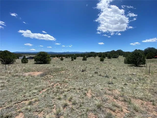 1638 20th Trail Cotopaxi, CO 81223
