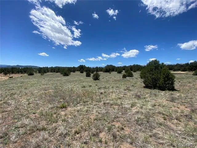 1638 20th Trail Cotopaxi, CO 81223