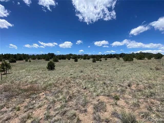 1638 20th Trail Cotopaxi, CO 81223