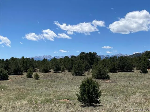 1638 20th Trail Cotopaxi, CO 81223