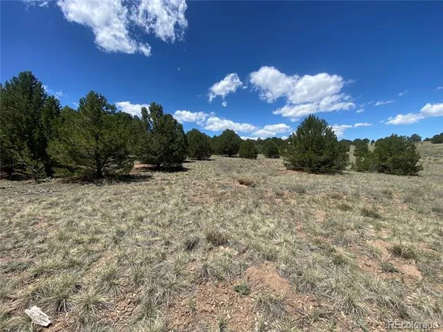 1638 20th Trail Cotopaxi, CO 81223