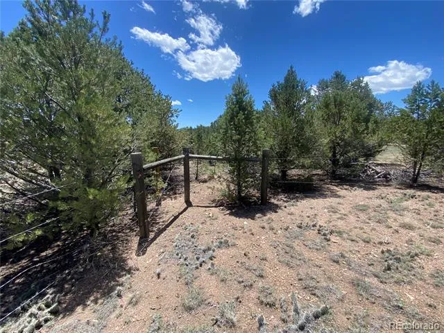 1638 20th Trail Cotopaxi, CO 81223