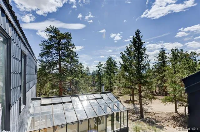 18095 Camino Del Norte Buena Vista, CO 81211