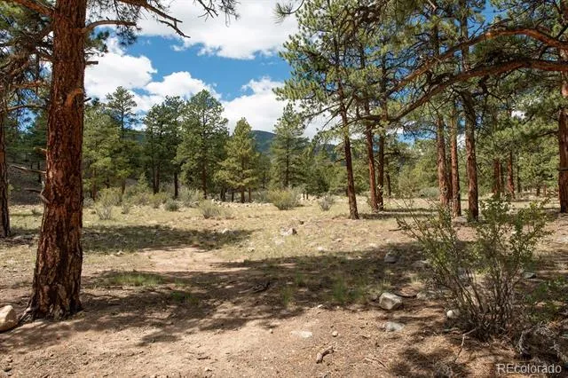 18095 Camino Del Norte Buena Vista, CO 81211